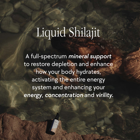 MINERALIZAR - Shilajit Vitalidad.